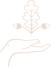 Sacred Oak Apothecary logo