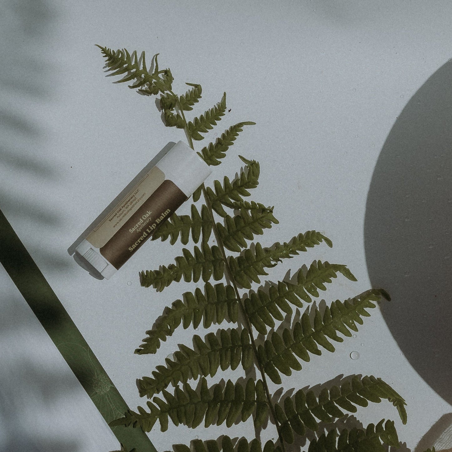 Sacred Lip Balm